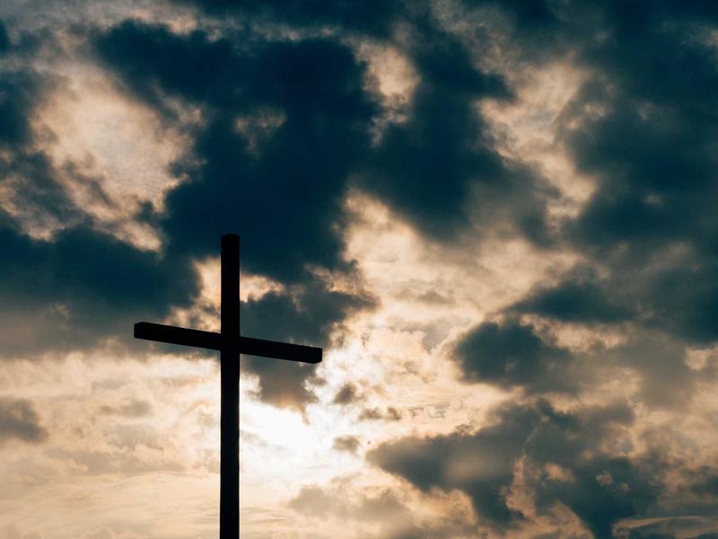 周末农夫<br>rhipqgo.cn 阳台种菜指南